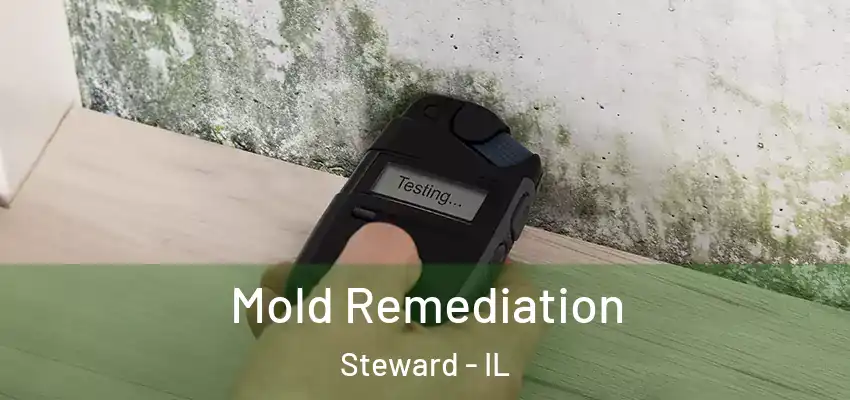 Mold Remediation Steward - IL