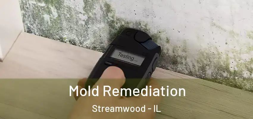  Mold Remediation Streamwood - IL