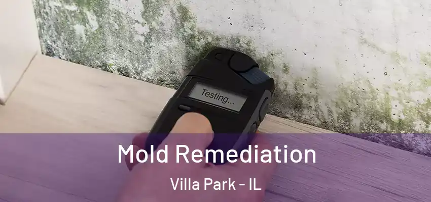  Mold Remediation Villa Park - IL