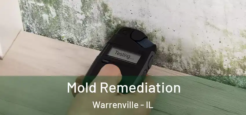  Mold Remediation Warrenville - IL