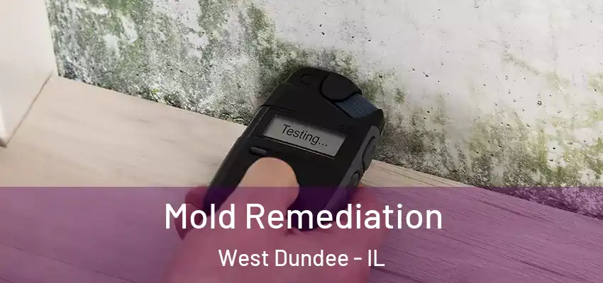  Mold Remediation West Dundee - IL