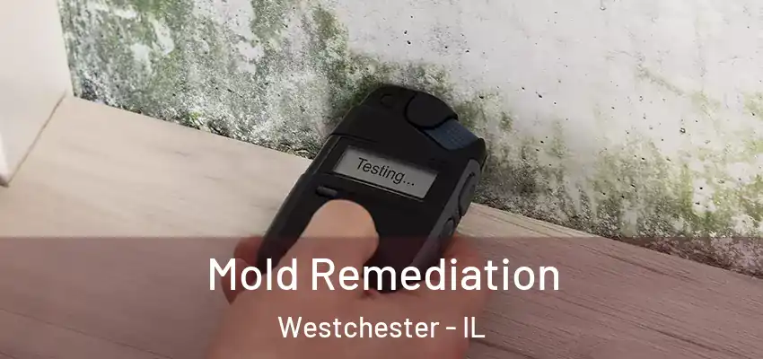  Mold Remediation Westchester - IL