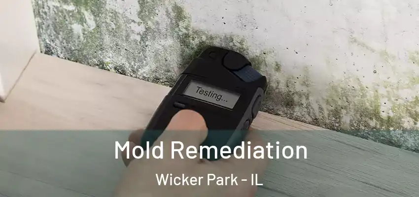  Mold Remediation Wicker Park - IL