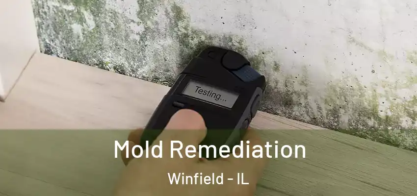  Mold Remediation Winfield - IL