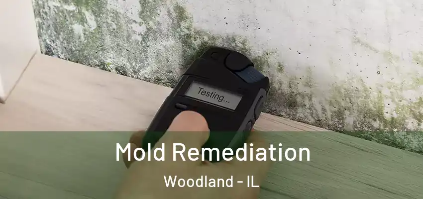  Mold Remediation Woodland - IL