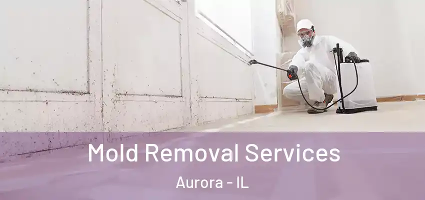  Mold Removal Services Aurora - IL