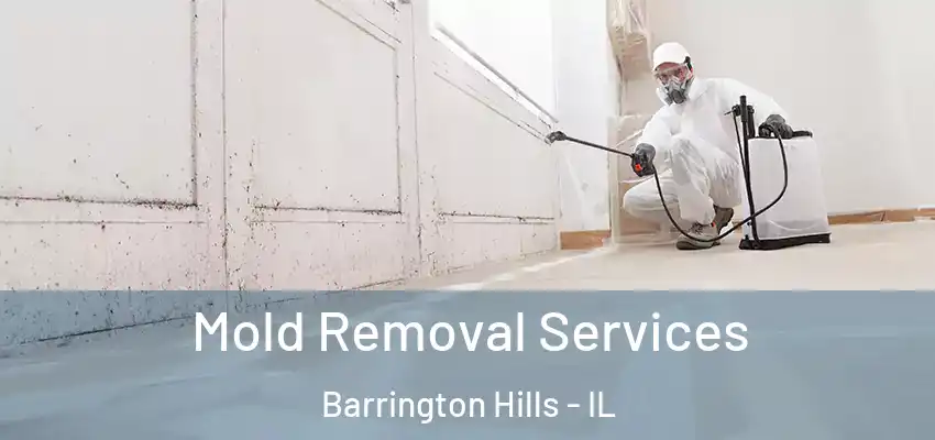  Mold Removal Services Barrington Hills - IL