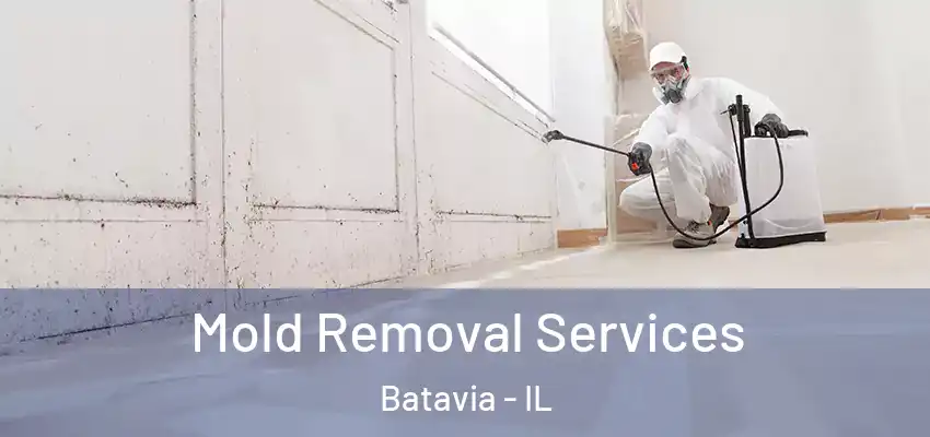  Mold Removal Services Batavia - IL
