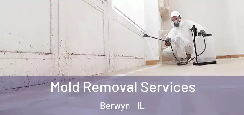  Mold Removal Services Berwyn - IL