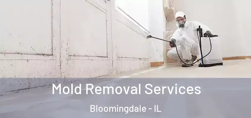  Mold Removal Services Bloomingdale - IL