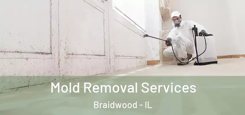  Mold Removal Services Braidwood - IL