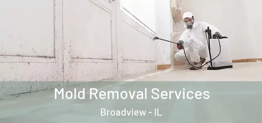  Mold Removal Services Broadview - IL