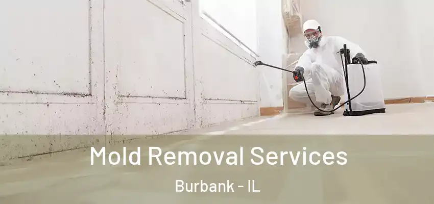  Mold Removal Services Burbank - IL