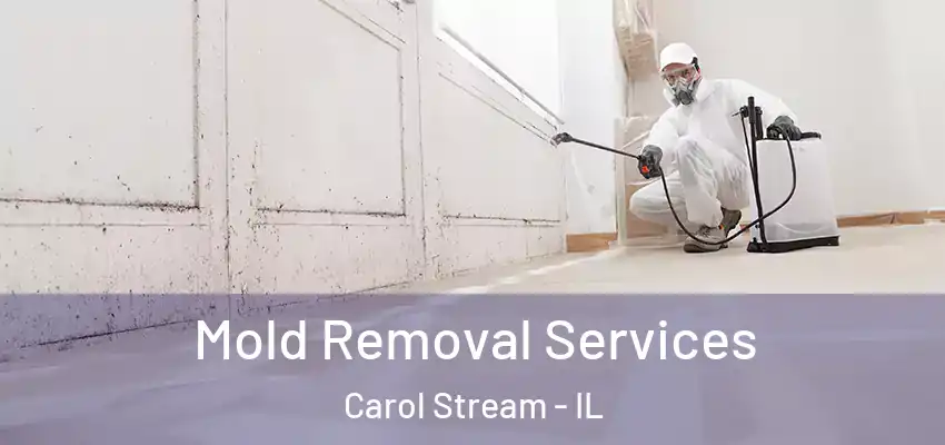  Mold Removal Services Carol Stream - IL
