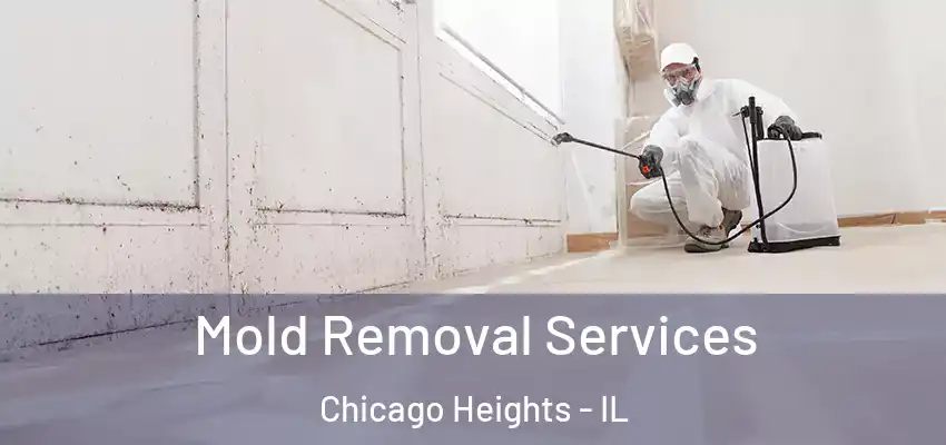  Mold Removal Services Chicago Heights - IL