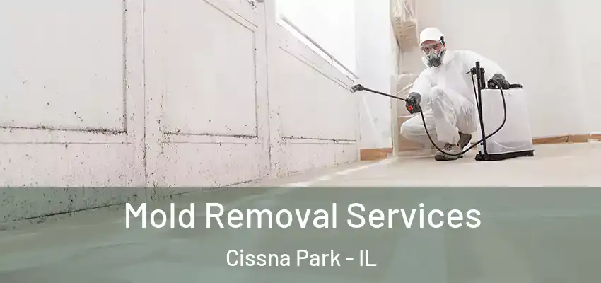  Mold Removal Services Cissna Park - IL