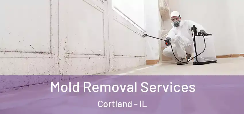 Mold Removal Services Cortland - IL