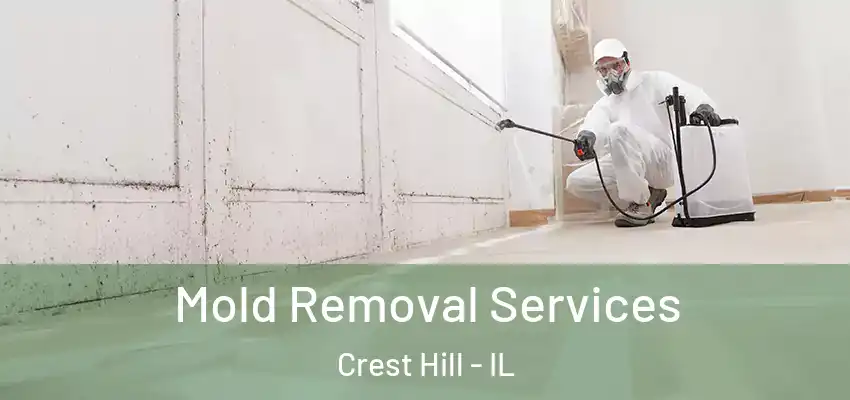 Mold Removal Services Crest Hill - IL