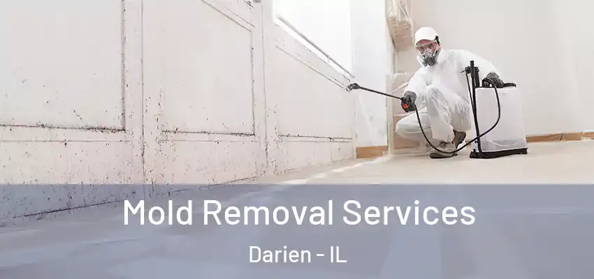  Mold Removal Services Darien - IL