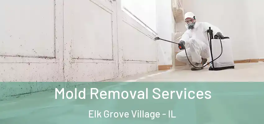  Mold Removal Services Elk Grove Village - IL