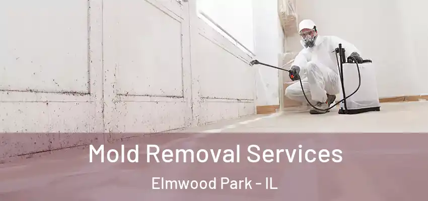  Mold Removal Services Elmwood Park - IL