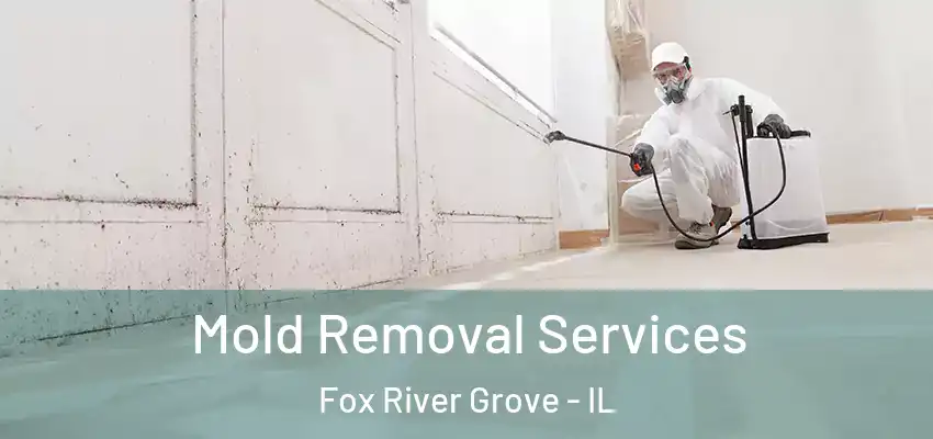  Mold Removal Services Fox River Grove - IL