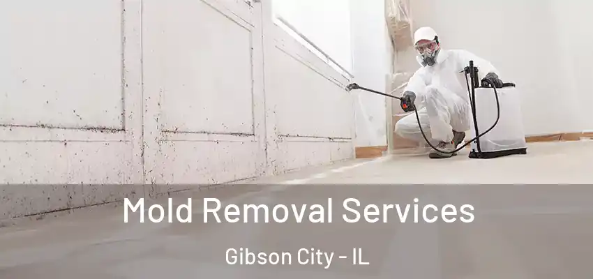  Mold Removal Services Gibson City - IL