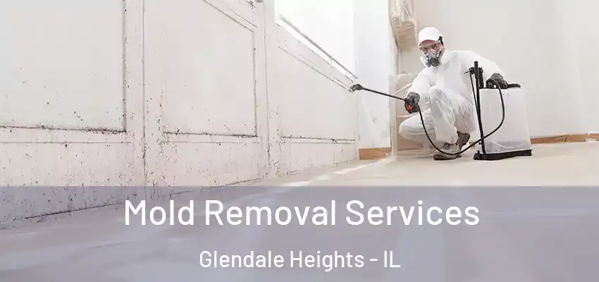  Mold Removal Services Glendale Heights - IL