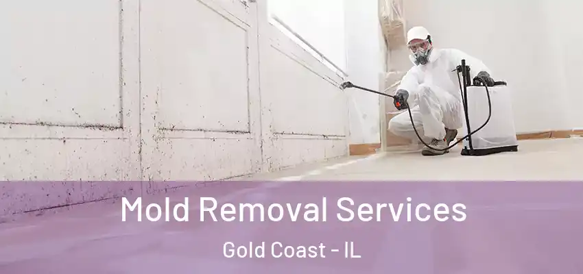  Mold Removal Services Gold Coast - IL