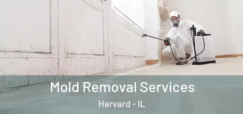  Mold Removal Services Harvard - IL
