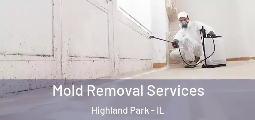  Mold Removal Services Highland Park - IL