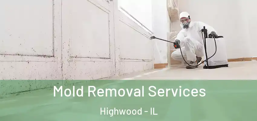  Mold Removal Services Highwood - IL