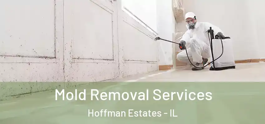  Mold Removal Services Hoffman Estates - IL