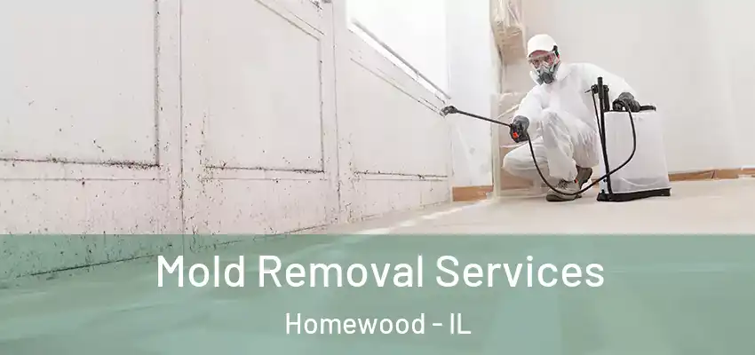  Mold Removal Services Homewood - IL