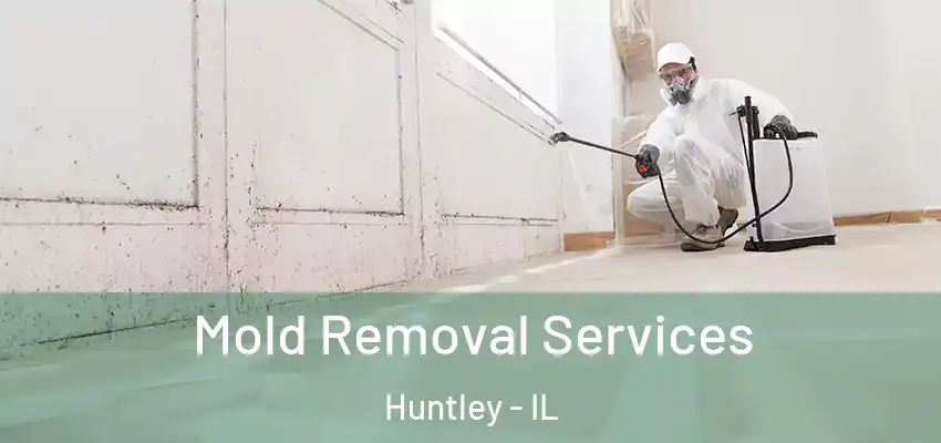  Mold Removal Services Huntley - IL