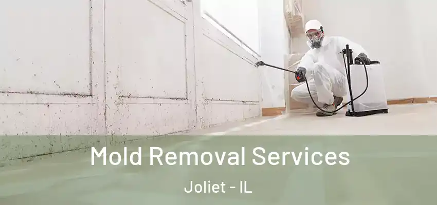  Mold Removal Services Joliet - IL