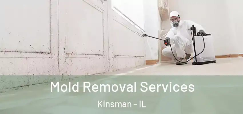  Mold Removal Services Kinsman - IL