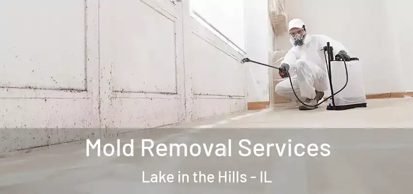Mold Removal Services Lake in the Hills - IL