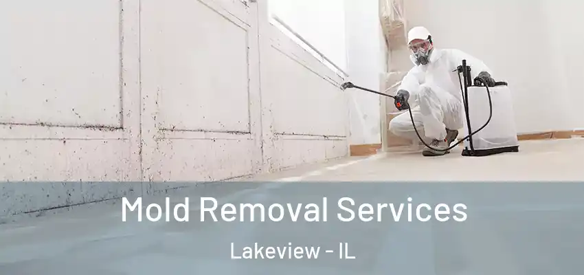  Mold Removal Services Lakeview - IL