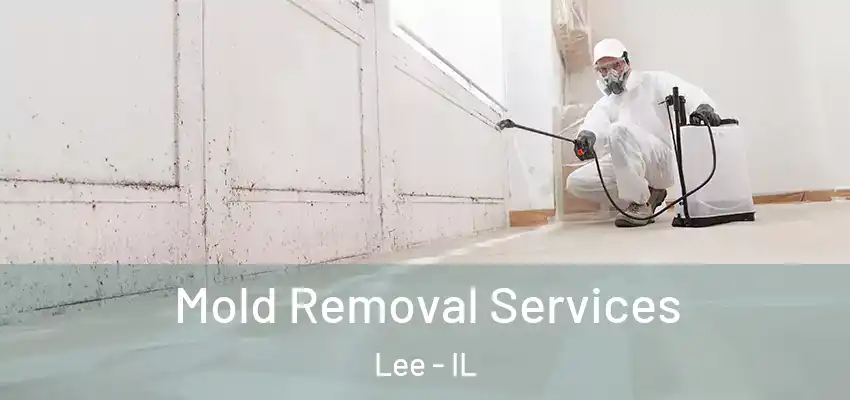  Mold Removal Services Lee - IL