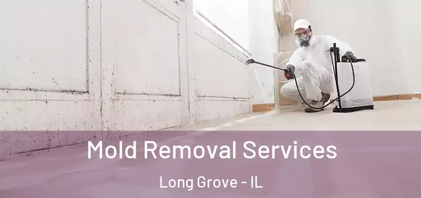  Mold Removal Services Long Grove - IL