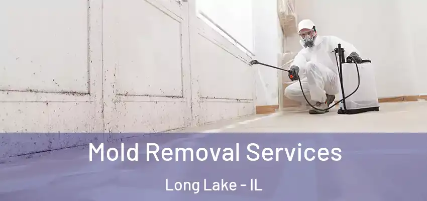  Mold Removal Services Long Lake - IL