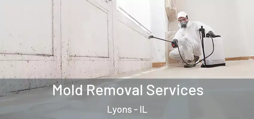  Mold Removal Services Lyons - IL