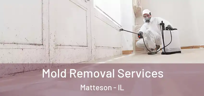  Mold Removal Services Matteson - IL