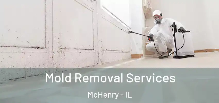  Mold Removal Services McHenry - IL