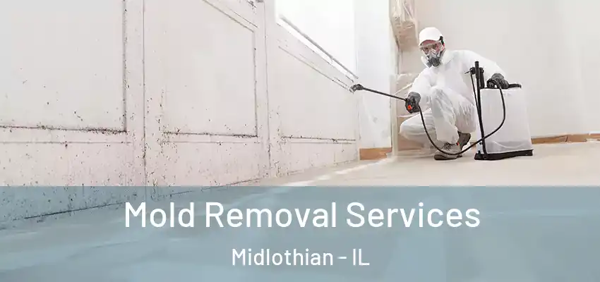  Mold Removal Services Midlothian - IL