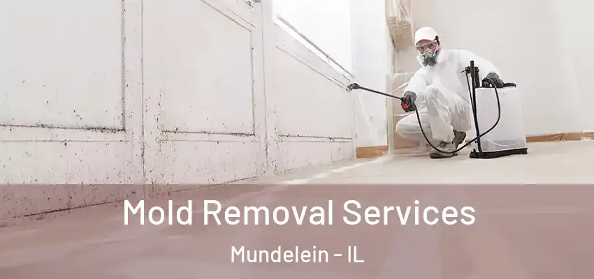  Mold Removal Services Mundelein - IL