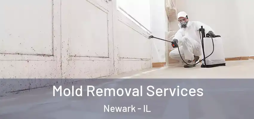  Mold Removal Services Newark - IL