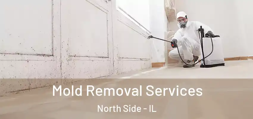  Mold Removal Services North Side - IL