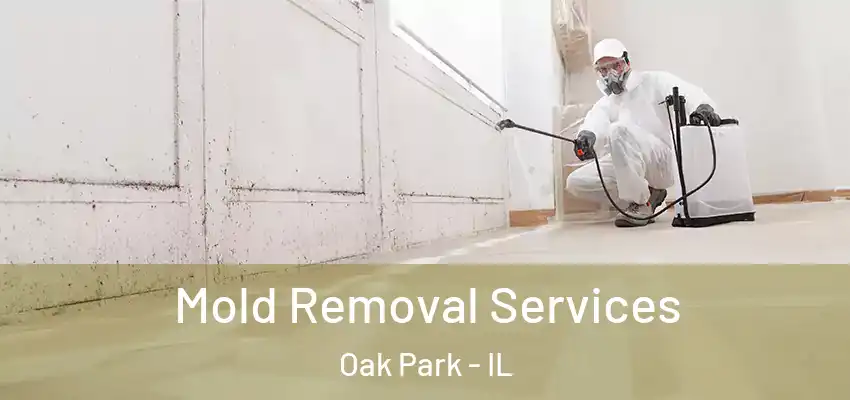  Mold Removal Services Oak Park - IL